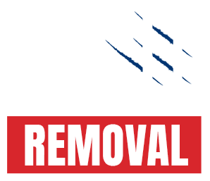 bird removal professional