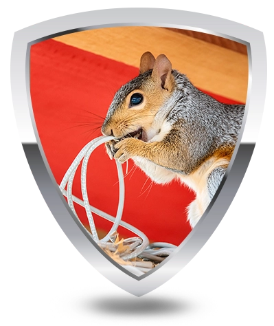 A squirrel inside a shield symbol, representing protection and wildlife control.