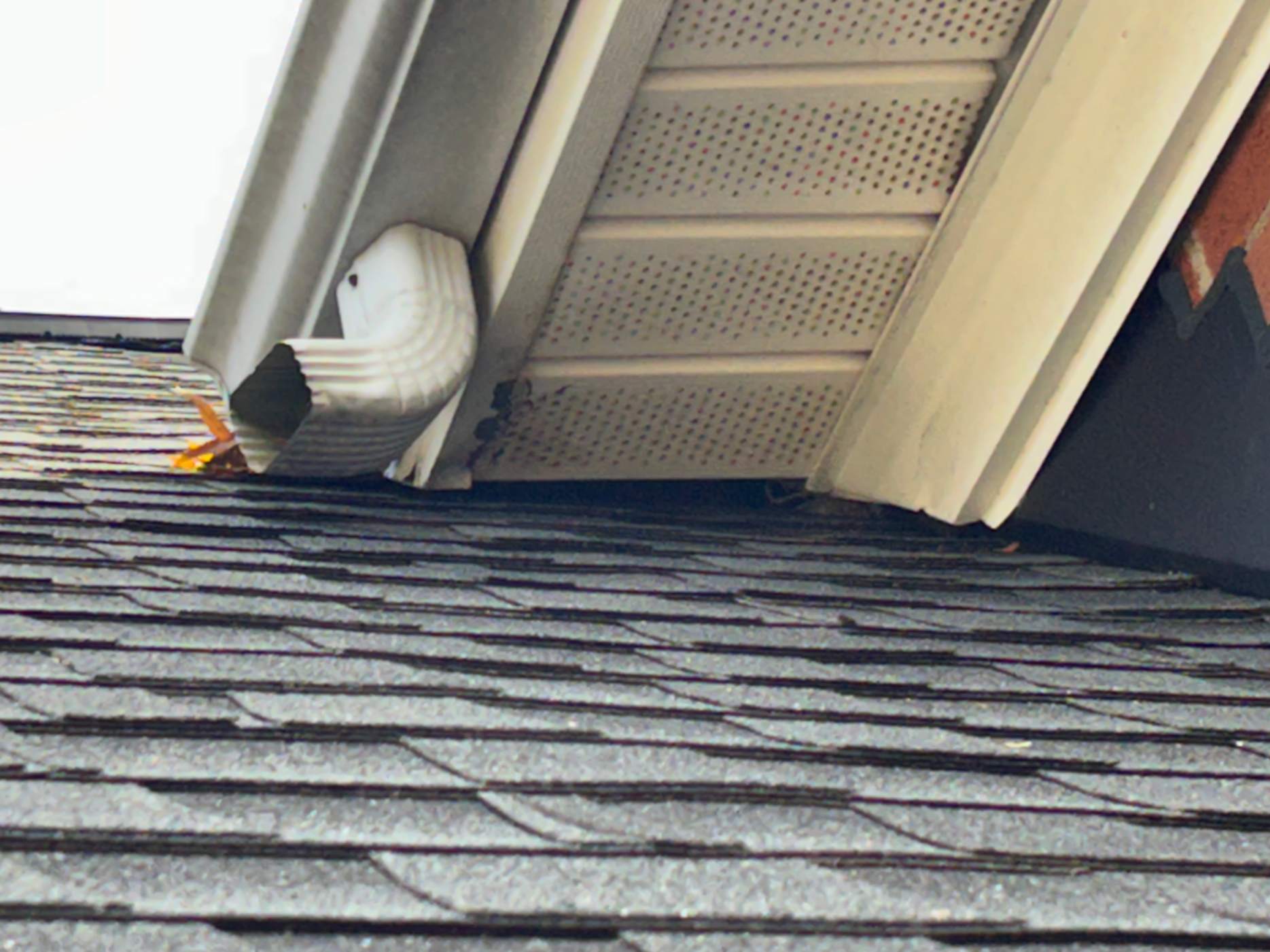 Damaged soffit and roof gap showing a common squirrel entry point — an example of why professional Squirrel Removal in Matthews is essential to protect homes from wildlife intrusion.