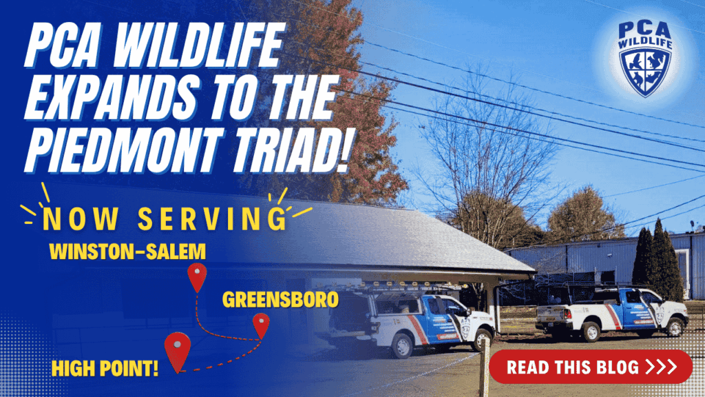 Announcement for PCA Wildlife expanding to the Piedmont Triad, now serving Winston-Salem, Greensboro, and High Point