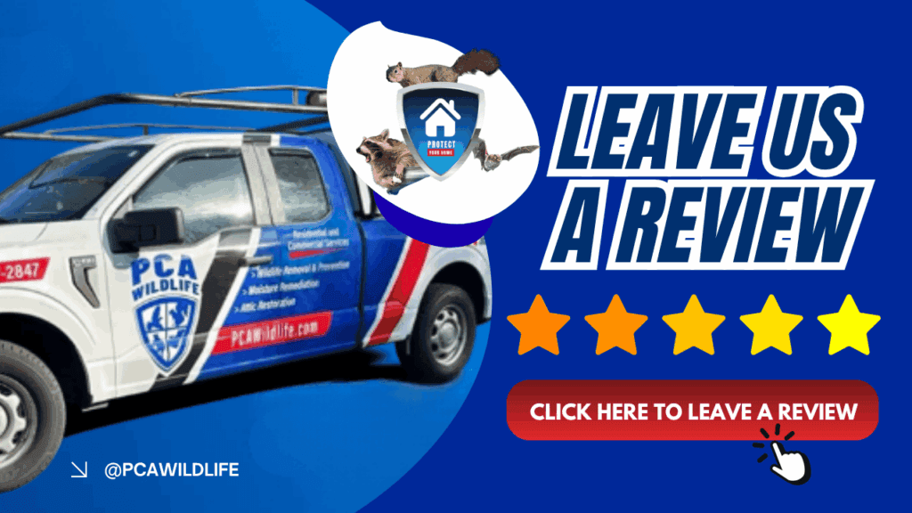 A promotional image encouraging customers to leave a review for PCA Wildlife, featuring a service vehicle, wildlife illustrations, and a call-to-action button.
