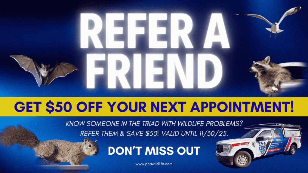 Refer-a-friend wildlife promo with animals and PCA Wildlife truck, offering $50 off as PCA Wildlife expands to the Piedmont Triad.