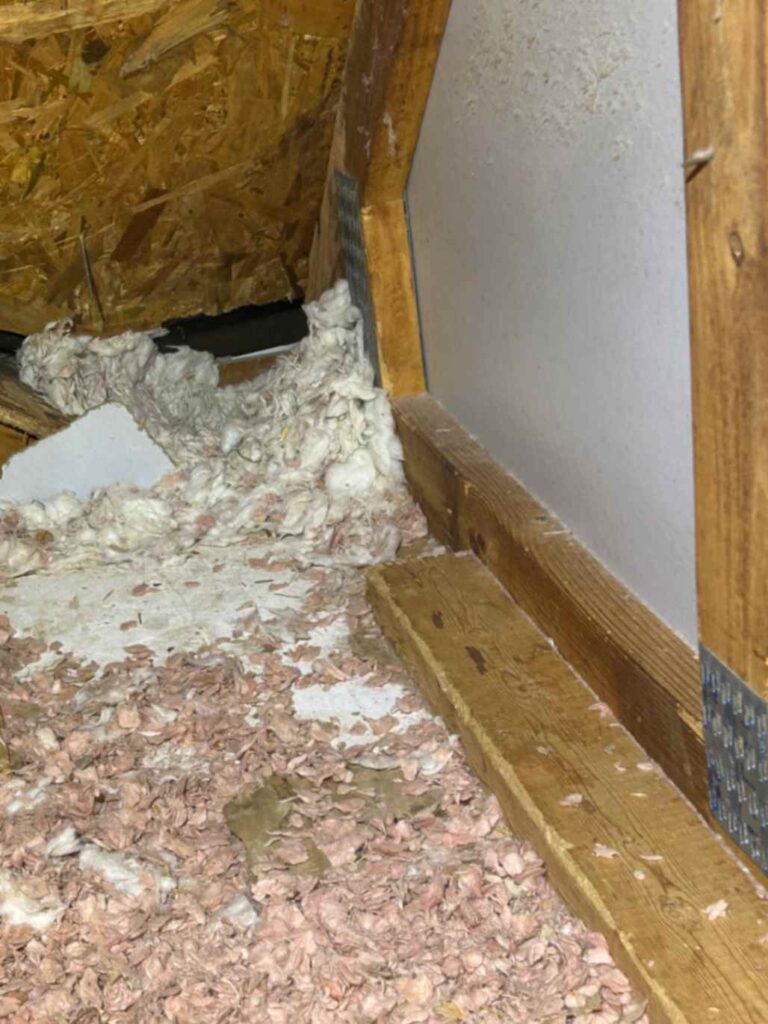 Attic space with exposed wooden beams, insulation spilling over, and scattered debris, taken during Squirrel Removal in Clemmons.