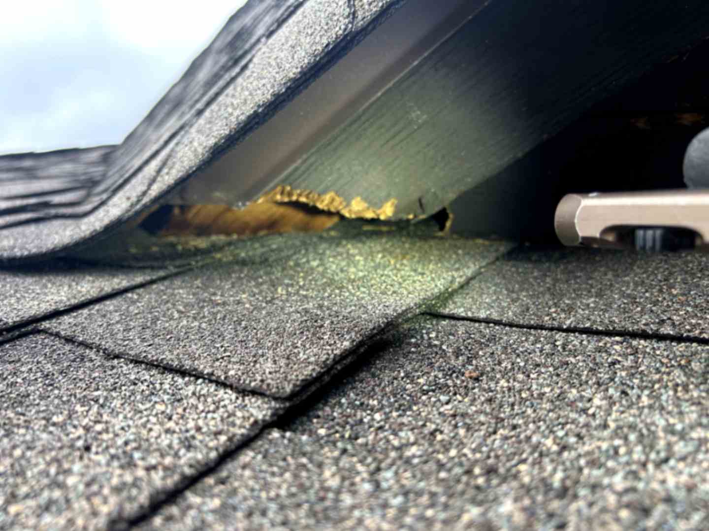 The image shows a roof with a visible gap or tear, indicating potential damage, taken during Squirrel Removal in Harrisburg.