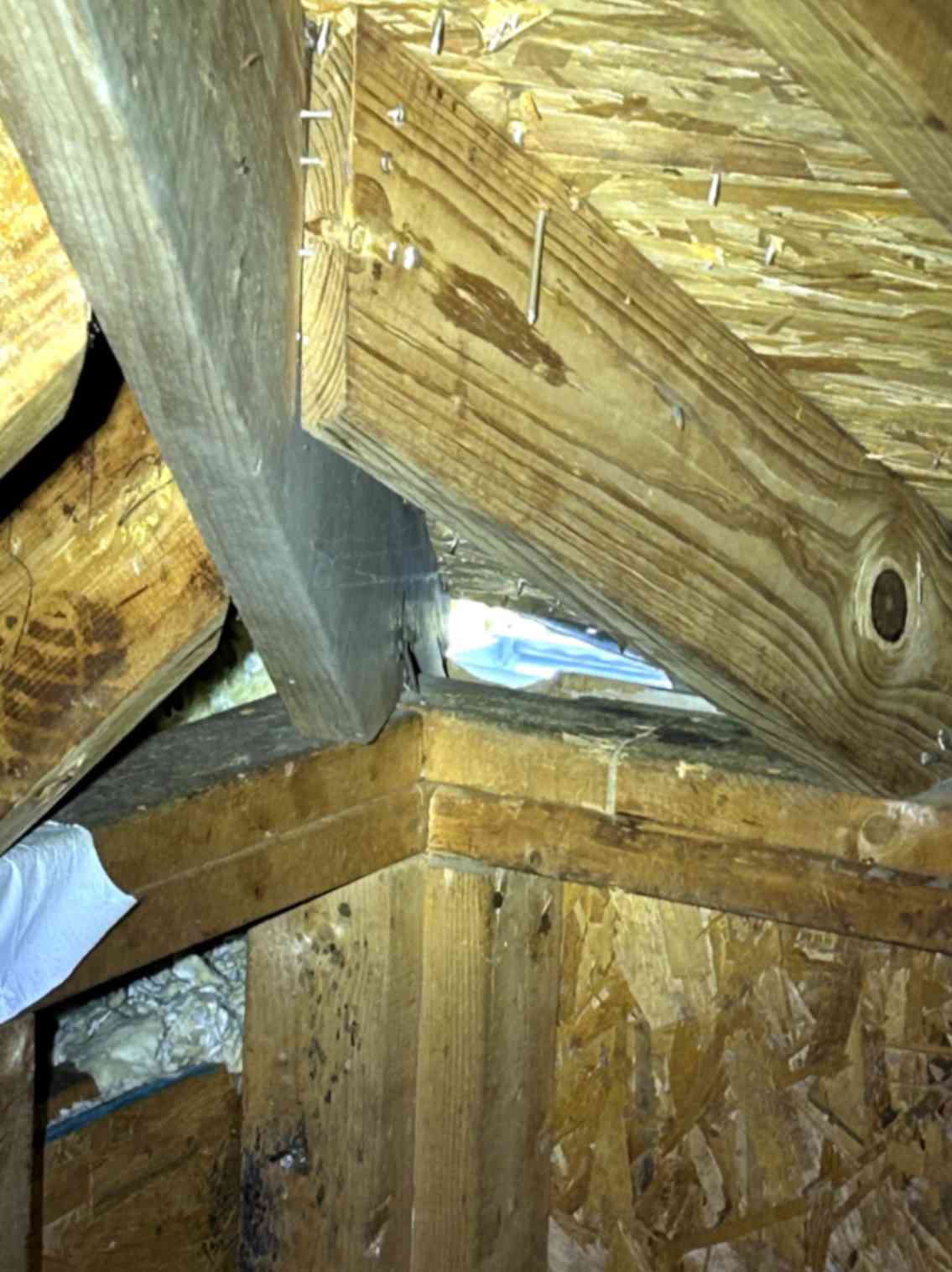 Interior roof framing showing wooden beams, nails, and a small opening where daylight enters, taken during Squirrel Removal in Tega Cay.