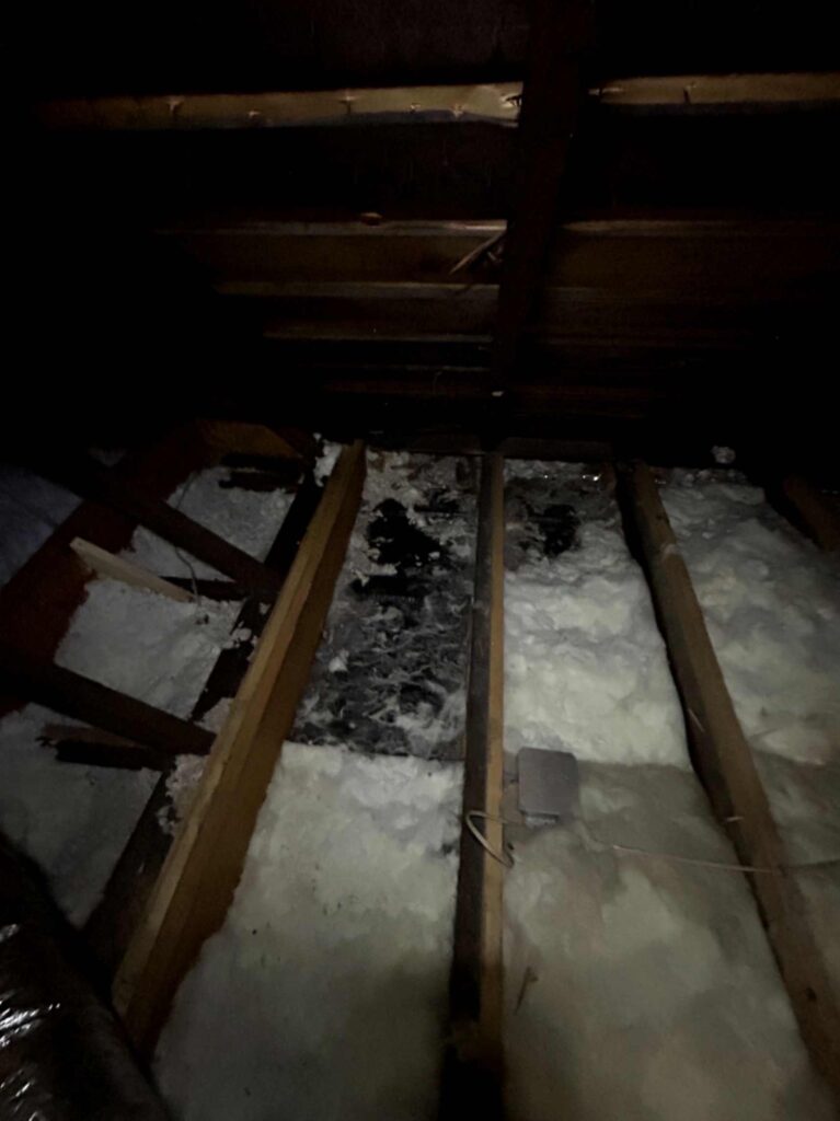 Dim attic view with exposed joists, disturbed white insulation, and dark debris between rafters, taken during Squirrel Removal in Tega Cay.