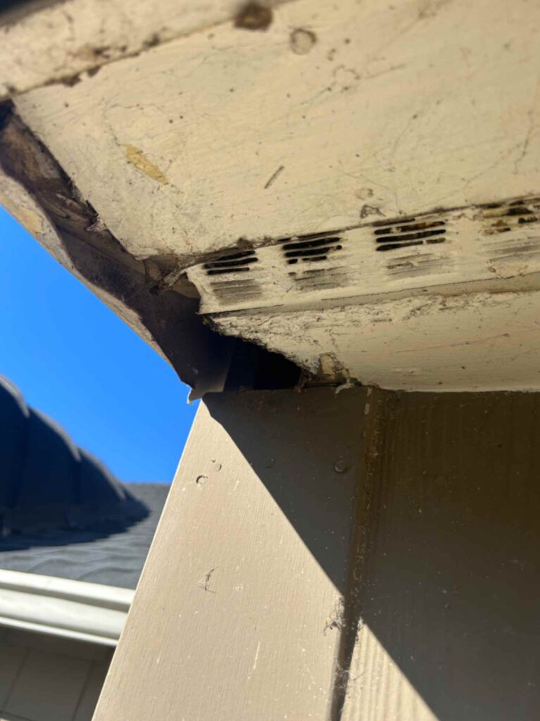 Damaged roof eave with cracked soffit vent and open gap exposing dark cavity, taken during Squirrel Removal in Waxhaw.
