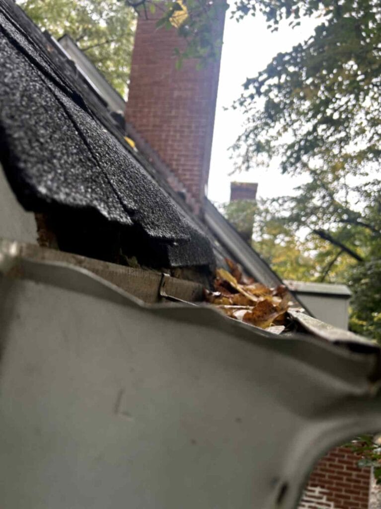 The image shows damaged roof shingles and leaves in the gutter, which may indicate potential water drainage or animal entry issues, taken during Squirrel Removal in Fort Mill.