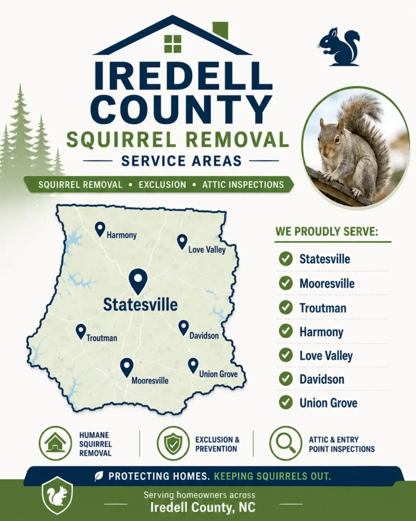 Iredell County NC squirrel removal service area map for PCA Wildlife, featuring Statesville, Mooresville, Troutman, Harmony, Love Valley, Davidson, and Union Grove.