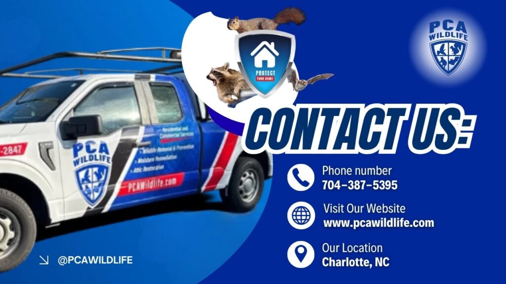 PCA Wildlife contact information graphic with service truck, phone number, website, and Charlotte NC location.