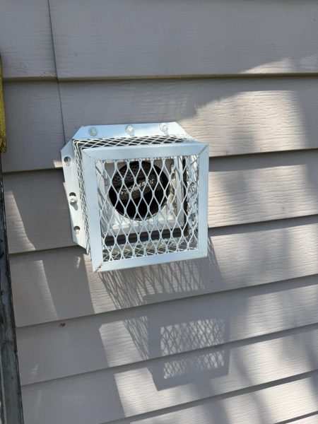 A close-up view of an exterior wall vent covered by a white metal mesh guard, with a bird's nest visible inside, illustrating the need for bird nest removal from vents Charlotte NC.